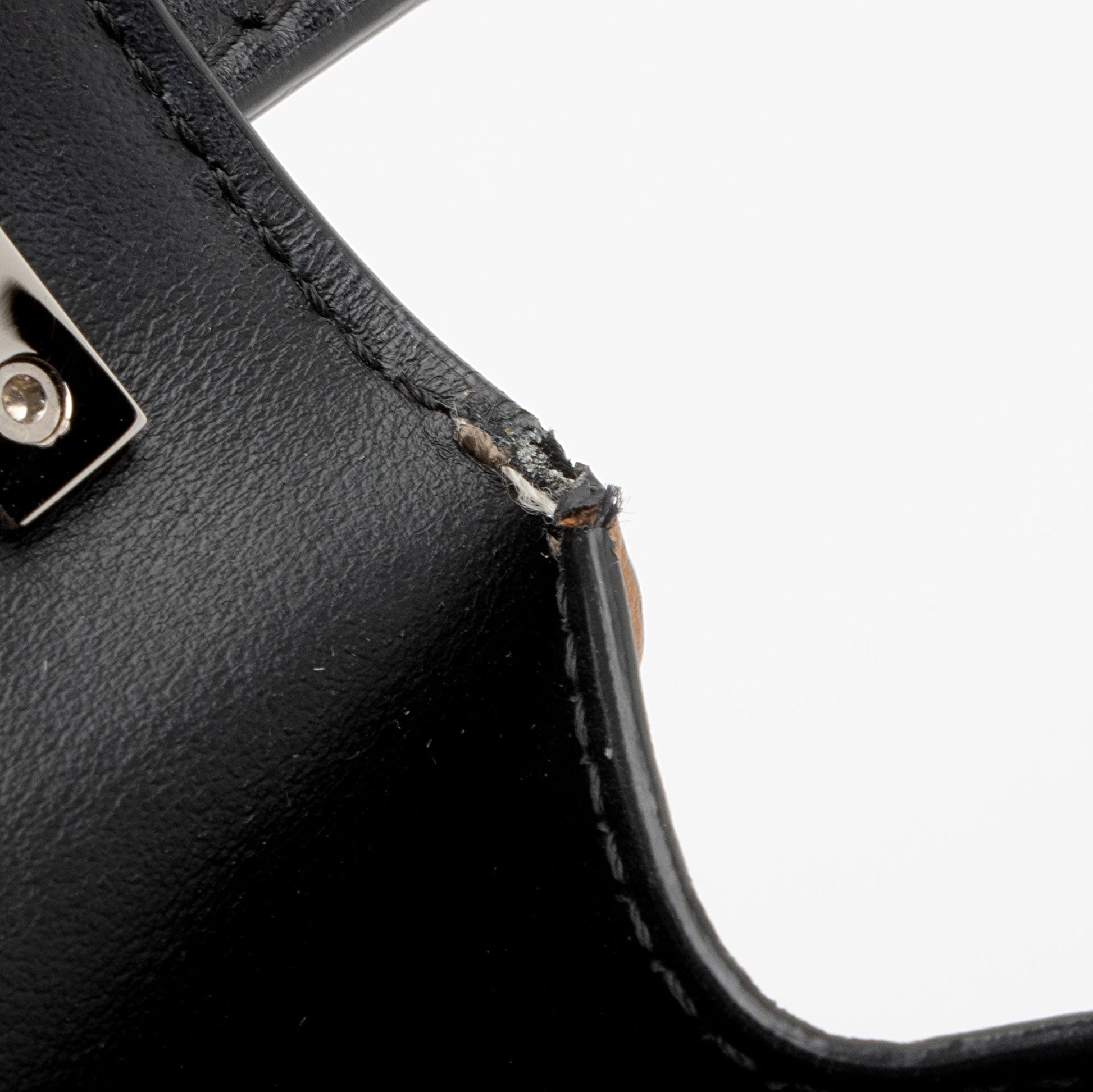 Burberry E-Canvas TB Monogram Robin Mini Messenger