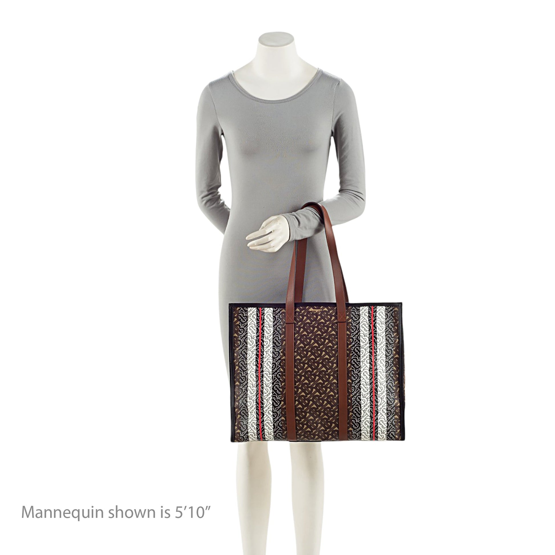 Burberry E-Canvas TB Monogram Stripe Medium Book Tote