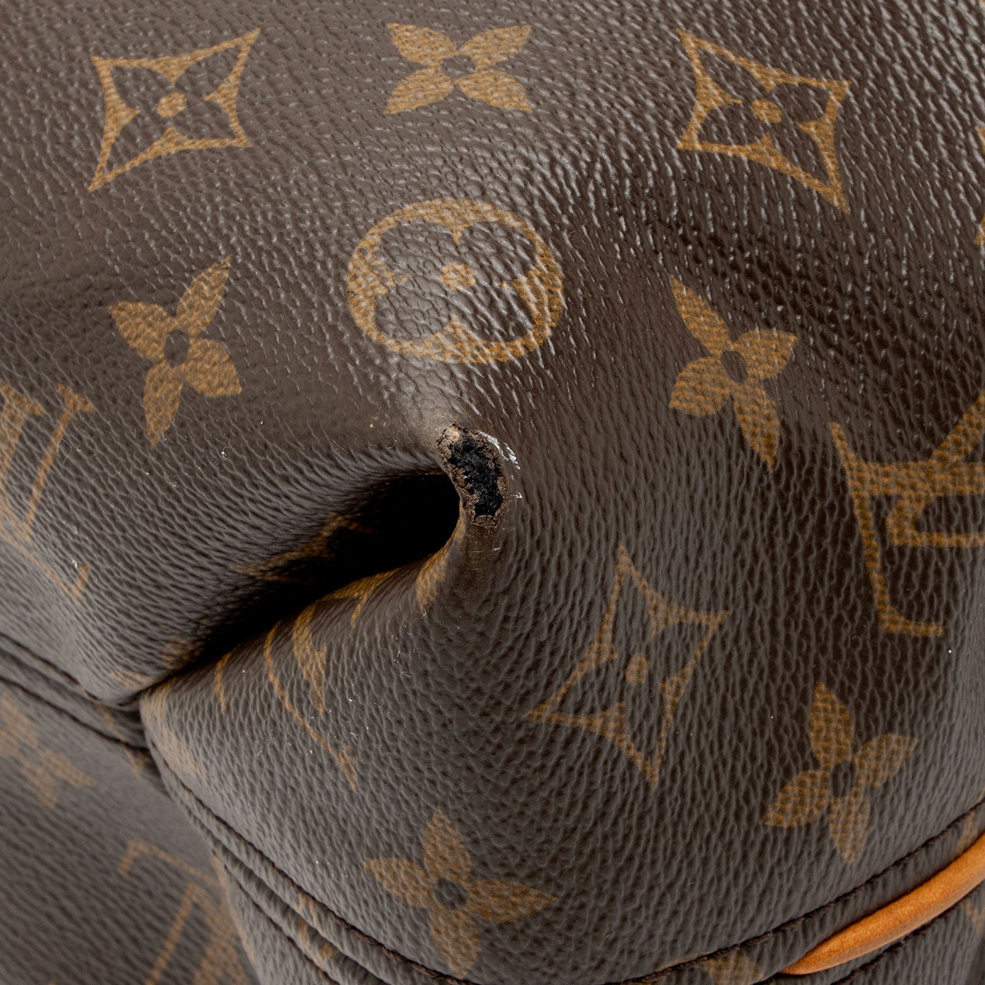 Louis Vuitton Monogram Canvas Sully MM Shoulder Bag